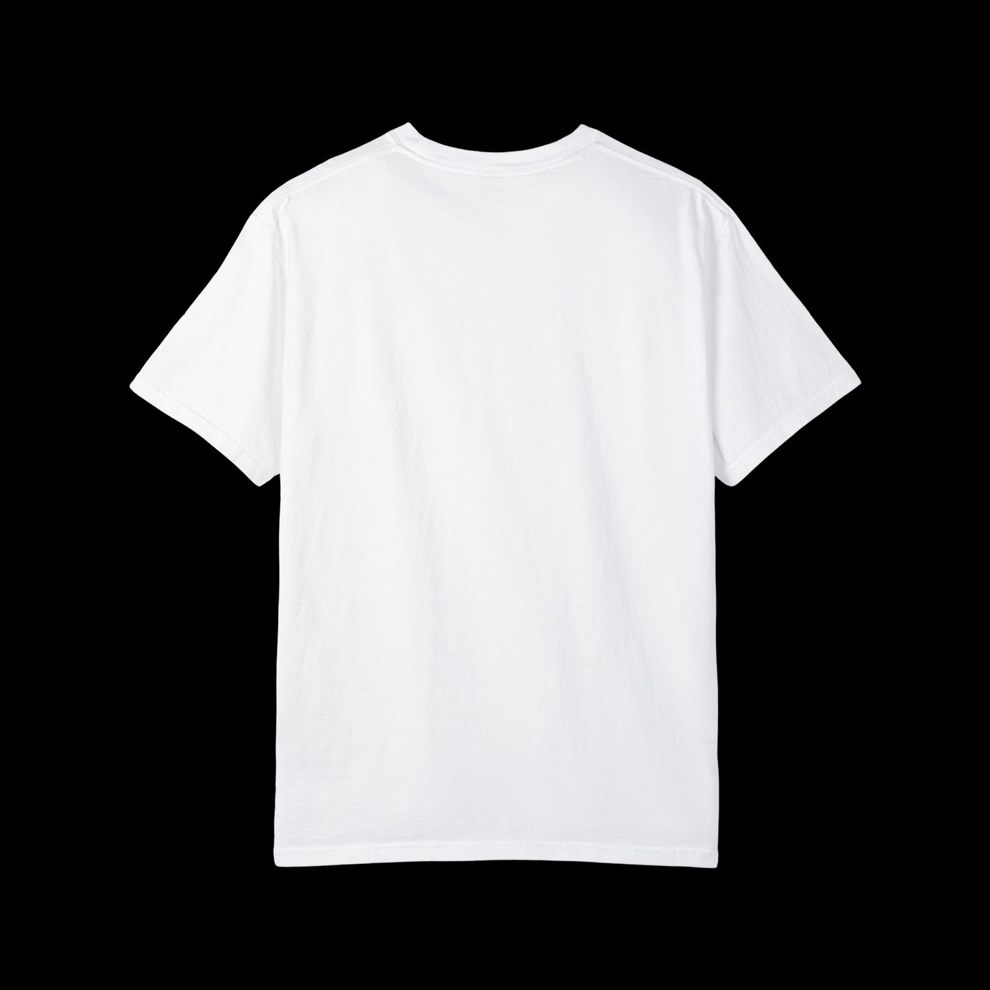 Tax Evasion T-Shirt